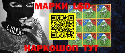 шишки Кингисепп