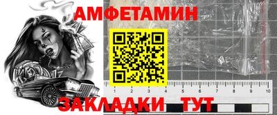шишки Кингисепп