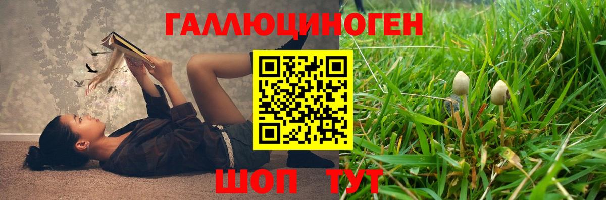 Галлюциногенные грибы мухоморы  Вход с VPN  закладки  Кингисепп 