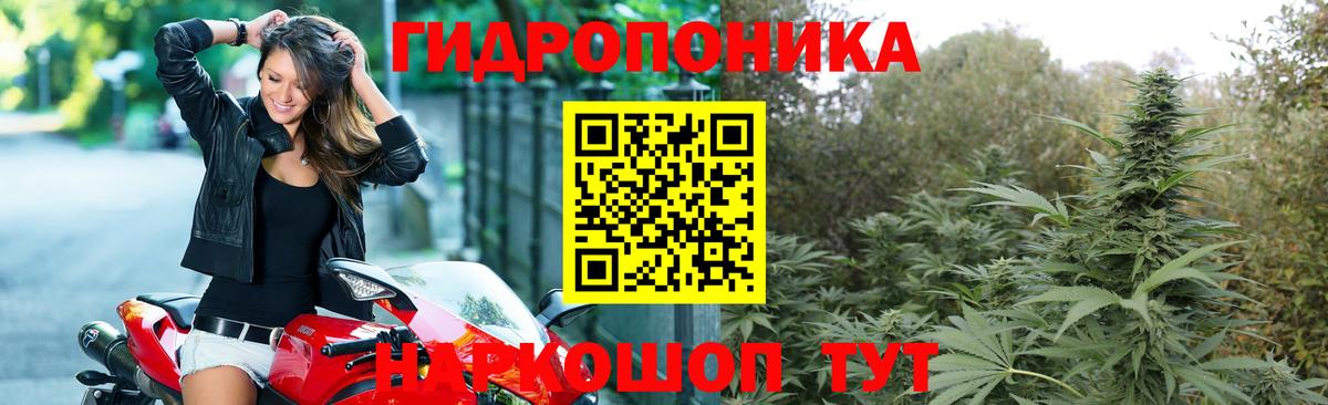 Бошки марихуана White Widow Кингисепп