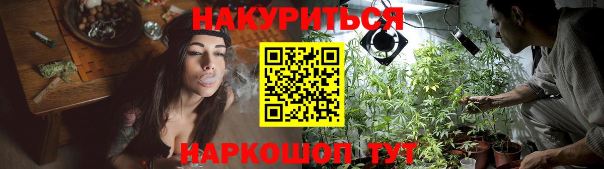 Кингисепп  Бошки Шишки планчик  Вход с VPN  Марихуана марихуана  Канабис SATIVA & INDICA  Конопля конопля 